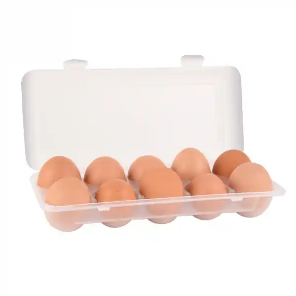 Box na vajíčka, Orion, 122962 Nu Kopen