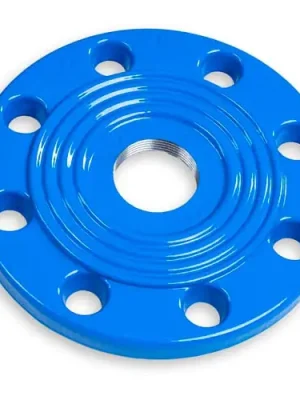 Cenový Hit Zaslepovací X příruba DN 150, s 1" vnitřním závitem, HECKL