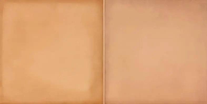 Goedkoop RAKO RETRO obklad 20x40 cm, lesk reliéf, hnědočervená