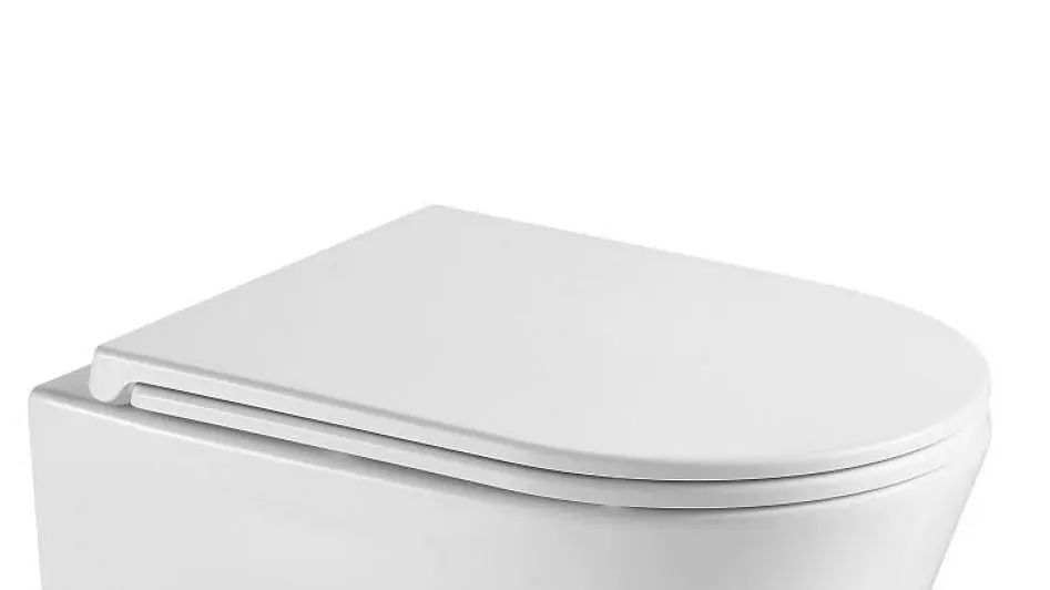 Laatste Kans WC sedátko FLAT soft-close, oválné (OVALE BASSO TORNADO, ARCO TORNADO)