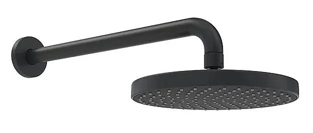 HANSABASICJET Hlavová sprcha 200 mm, ramínko 348 mm, 1 poloha, černá Oblíbený
