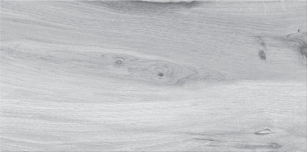 Express Levering Dlažba Cersanit Ashville light grey mat 30x60 W991-002-1