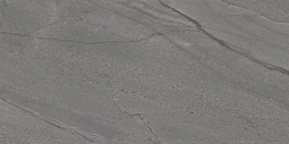 Dlažba Epicentr Silva graphite mat rektifikovaná 60x120 Goedkoop