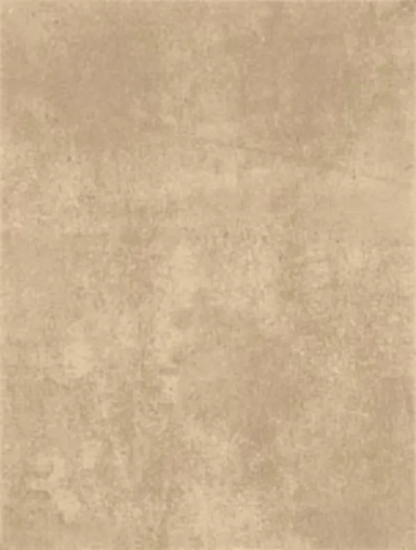 Nieuw Obklad Rako Patina šedobéžová mat 25x33 WATKB232