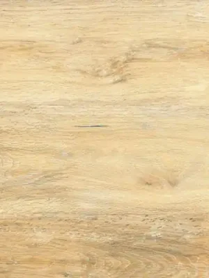Dlažba Rako Pino Outdoor béžová mat rektifikovaná 60x120 DAKV6896 Direct Verzonden