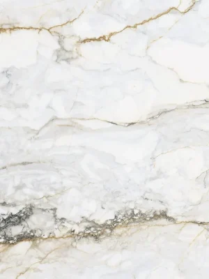 Aanbieding Dlažba Pamesa Pisa gold mat rektifikovaná 120x120 PISA120G